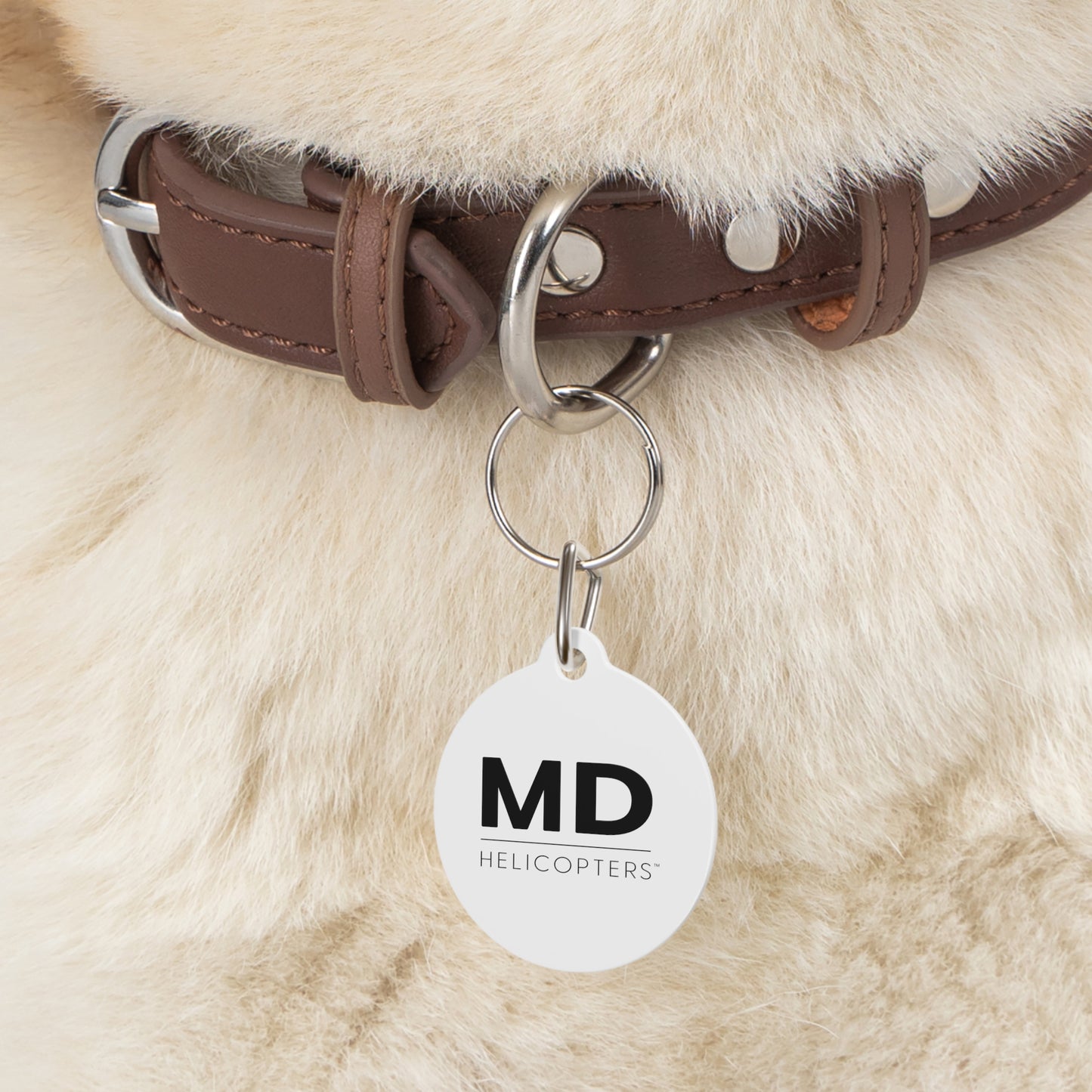 Pet Tag
